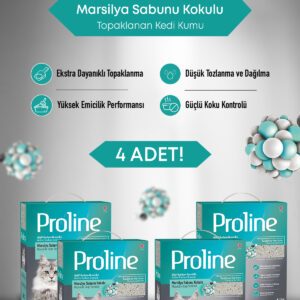 Aktif Karbon Tanecikli Marsilya Sabunu Kokulu Kedi Kumu 4X6 lt