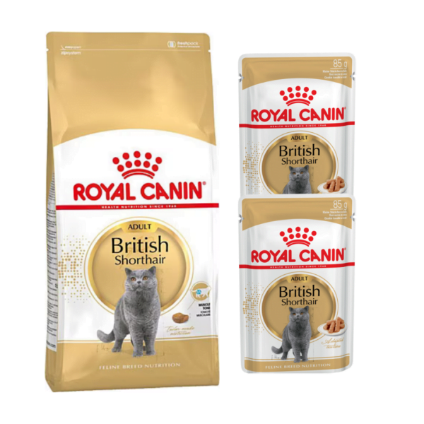 Royal Canin British Bundle (British Shorthair Yetişkin Kedi Maması 2 kg + 2 Yaş Mama)