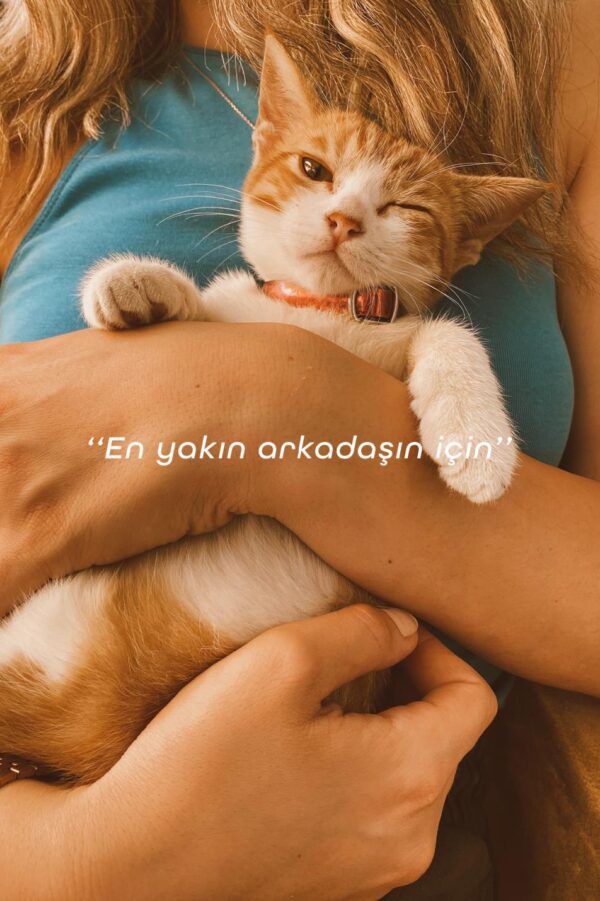 Doku Pet Cosmetic Kedi ve Köpek Pati Temizleme Köpüğü 150 ml - Görsel 8