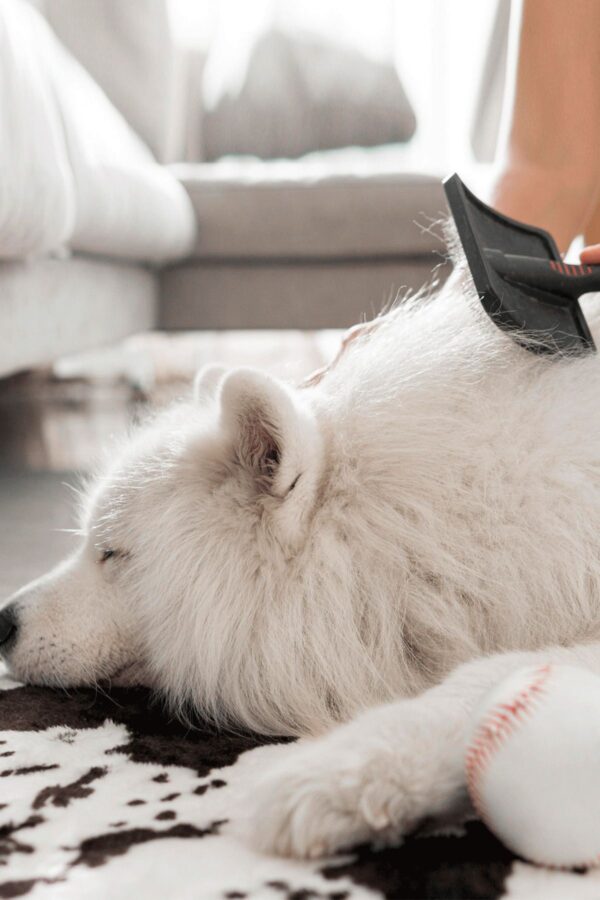 Doku Pet Hair Care Spray 200 ml - Görsel 6