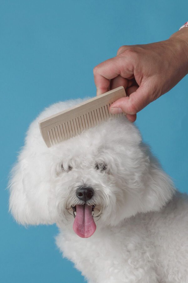 Doku Pet Hair Care Spray 200 ml - Görsel 7