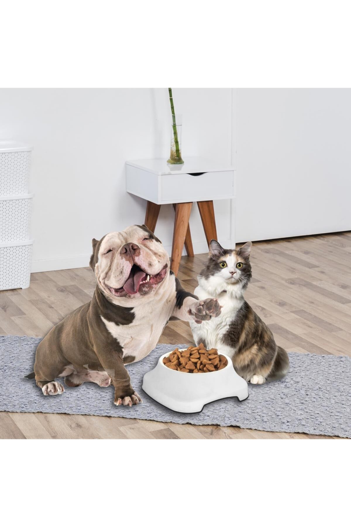 PlastArt Pet Mama Kabı | 2 Lt. - Görsel 4
